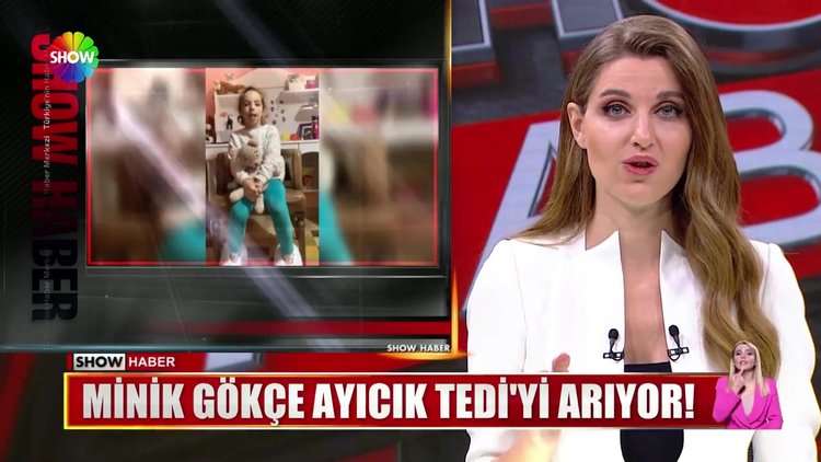 Minik Gökçe ayıcık Tedi'yi arıyor!
