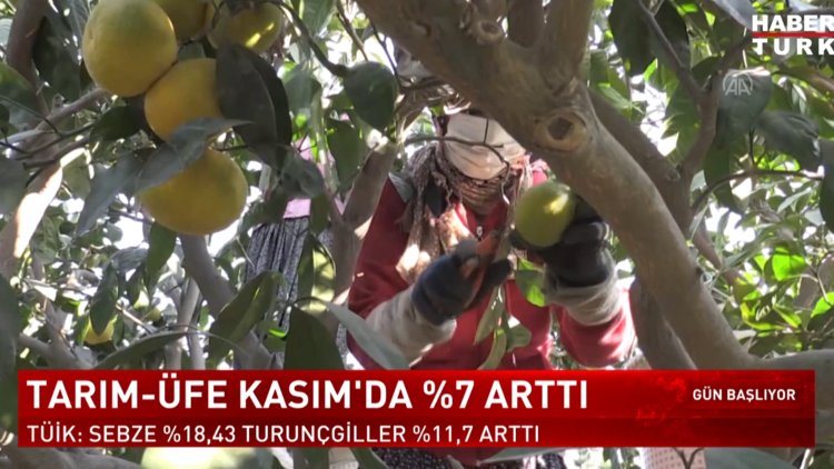 Tarım - Üfe  Kasım ayında yüzde 7 arttı 15 Aralık - 2022