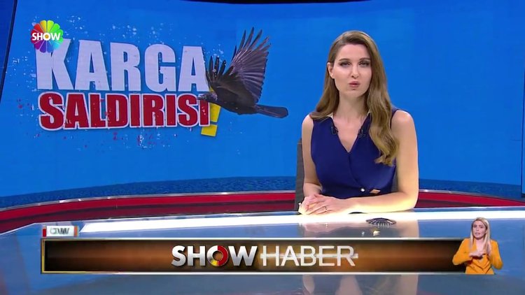 Mahallede ''karga'' kabusu!