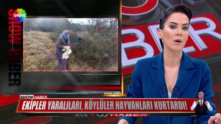 Tavuk ve horoz kurtarma operasyonu!