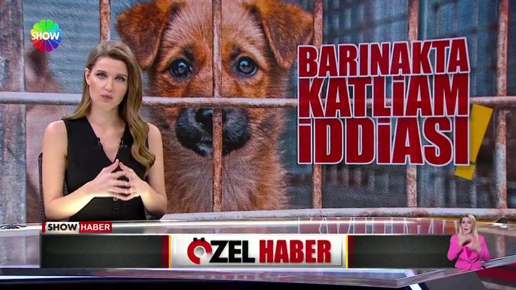 Türkiye bu görüntüleri konuşuyor!