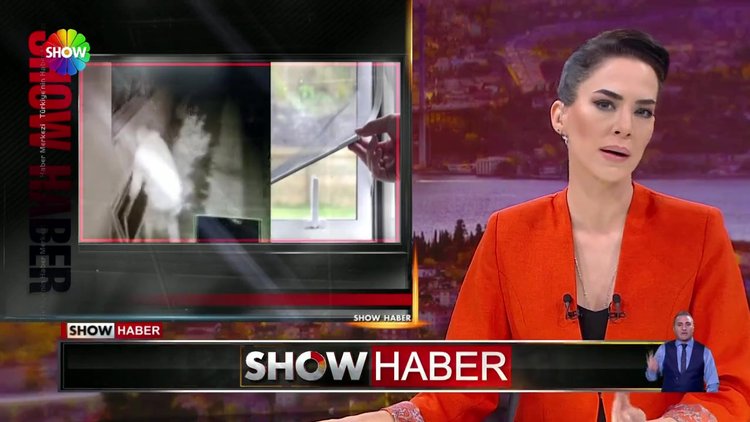 Sineklik hırsızı!