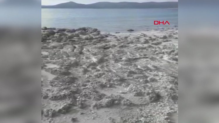 'Salda Gölü kumsalındaki kararma yayılıyor'