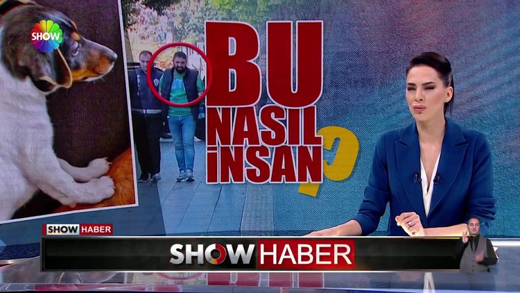 Yavru köpeği ısırıp yumrukladı!