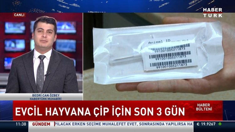 Evcil hayvanı olanlar dikkat! Çip takılmazsa ne olacak? Çip bulamayanlar ne yapmalı?