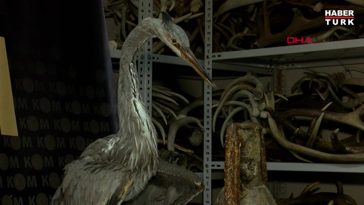 Kadıköy'de villaya düzenlenen tarihi eser operasyonunun detayları