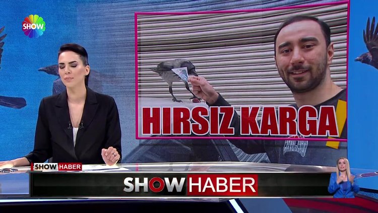 Hırsız karga Karagümrük'ü bıktırdı