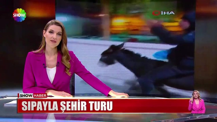 Sıpayla şehir turu