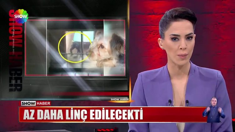 Vicdansız Çinli köpeğini dövdü!