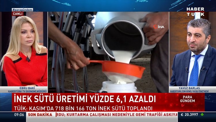 İnek sütü üretimi neden azalıyor?