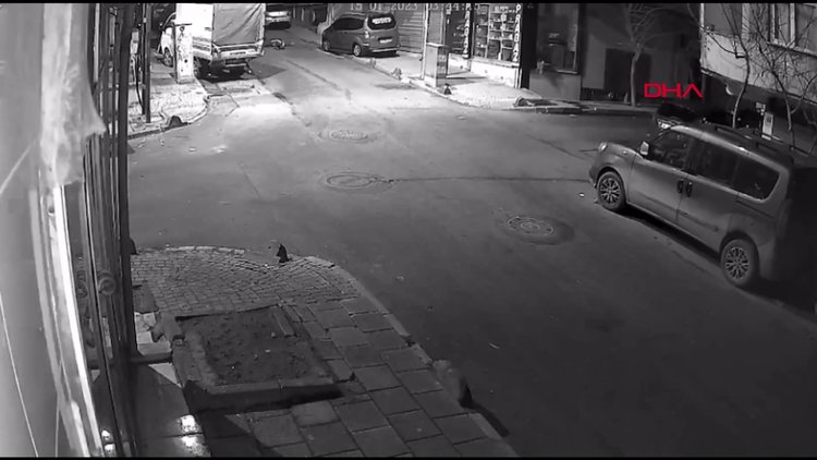 Kız kardeşini sevgilisi ile gördü kaputun üzerine atladı