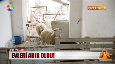 Video poster resmi