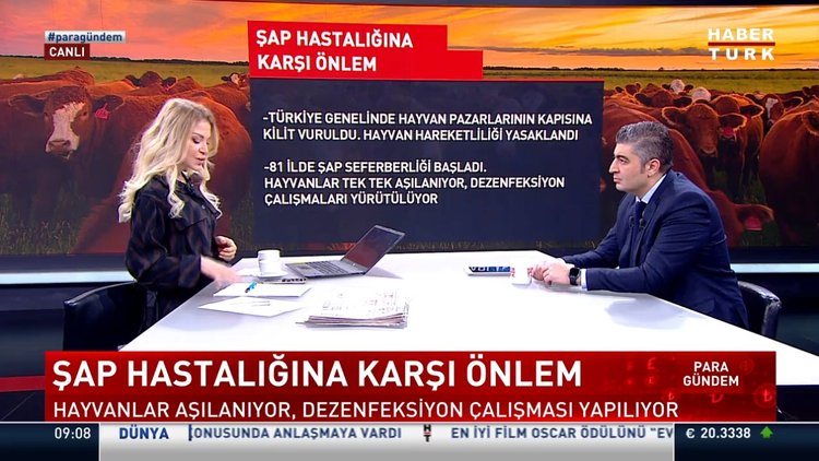 Şap hastalığına karşı önlem! Şap hastalığı et fiyatlarını artırır mı?