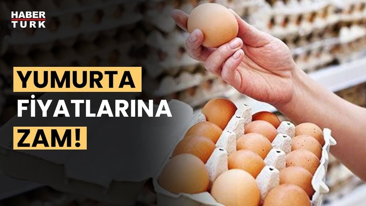 Yumurta fiyatı neden arttı? Yumurtanın fiyatı ne olacak? Aydın Ağaoğlu değerlendirdi
