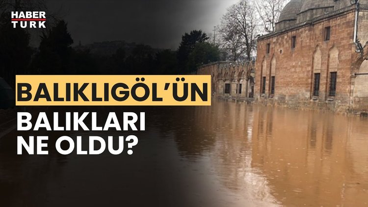Selin ardından Şanlıurfa&#039;da son durum ne? Gizem Türemen aktardı