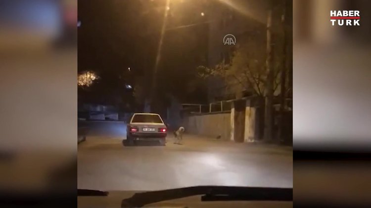 Köpeği otomobile bağlayarak koşturan kişi için suç duyurusu