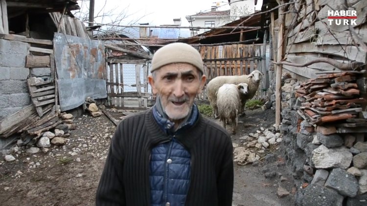 Sahipsiz köpekler 6 koyunu telef etti!