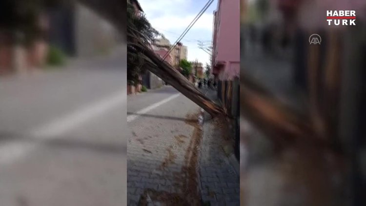 Şiddetli rüzgar ağaçları devirdi!