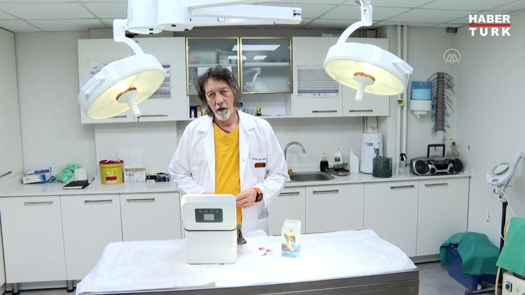 Kök hücre tedavisiyle felçli hayvanlar da ayağa kalkıyor !