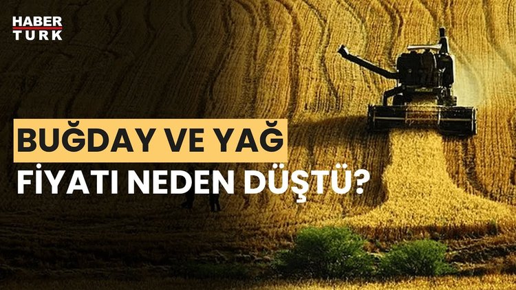 2 temel ürünün fiyatını ne düşürdü? Prof. Dr. Yalçın Kaya yanıtladı