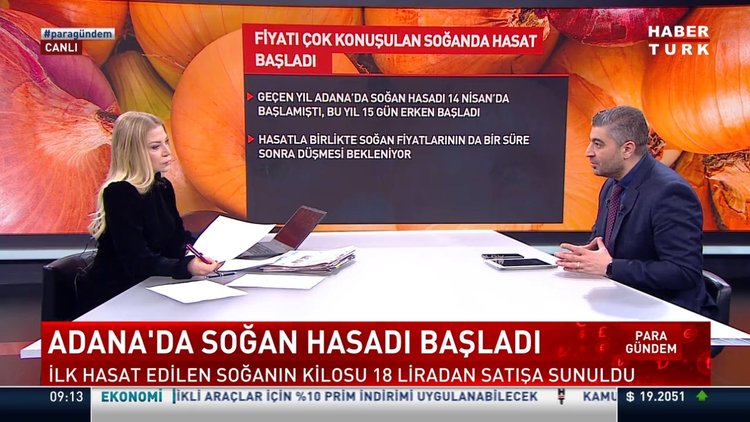 Adana'da soğan hasadı başladı