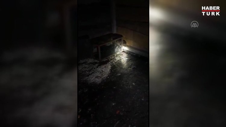 Çiftçinin, tavuklarını telef eden sansara "hesap sorması" gülümsetti