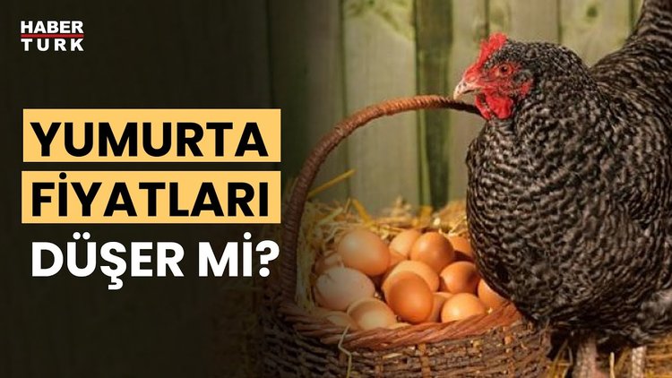 Tavuk ve yumurta fiyatları ne olur? Dr. Erhan Ekmen yanıtladı