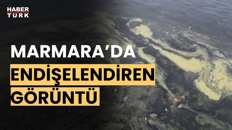 Marmara&#039;da müsilaj geri mi döndü?