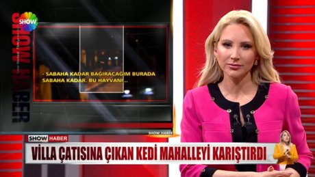 Video poster resmi
