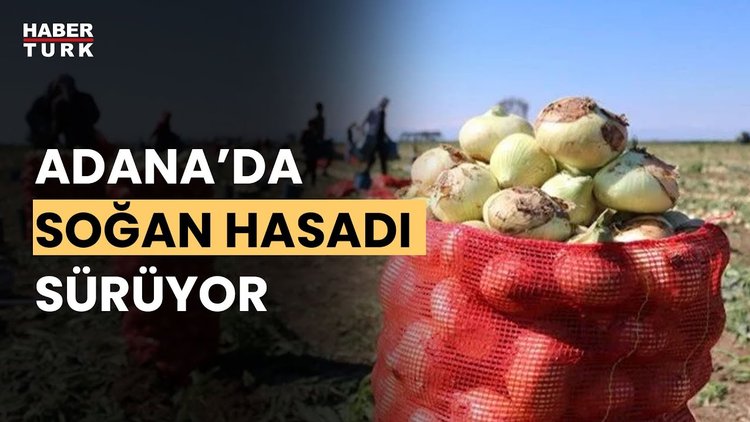 Soğan fiyatları 6-7 liraya kadar düştü