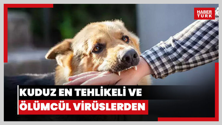  Kuduz en tehlikeli ve ölümcül virüslerden