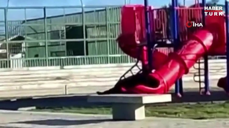 Şili Devlet Başkanı Gabriel Boric kaydırakta sıkıştı