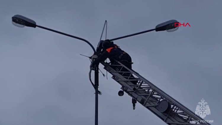 Rusya'da elektrik direğinde asılı kalan leylek, böyle kurtarıldı