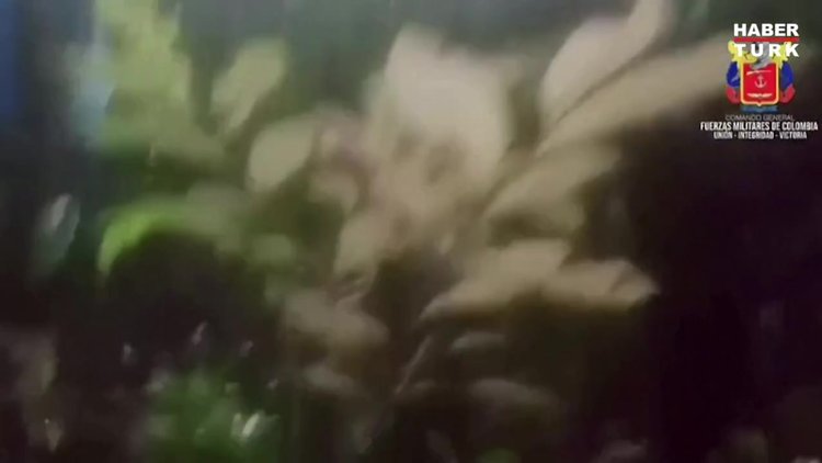 Kolombiya'da 17 gün önce düşen küçük uçaktaki 4 çocuk sağ bulundu!