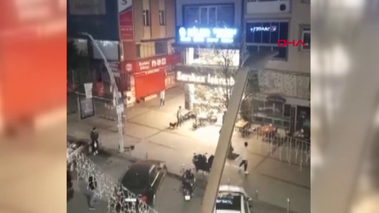 Zeytinburnu'nda pitbull ile gelip iş yerine saldırdılar