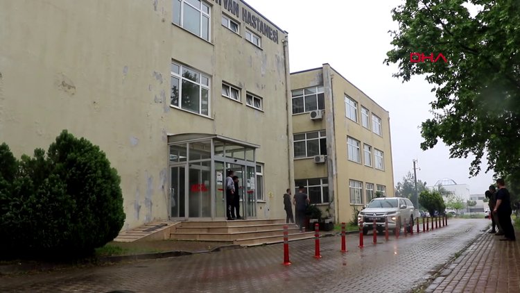 Ayağı kırılan yavru ayıyı kurtarma operasyonu