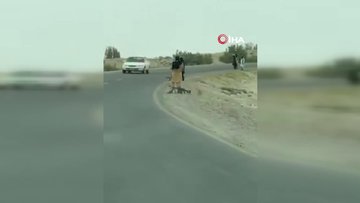 İran sınır muhafızları ile Taliban güçleri arasında çatışma