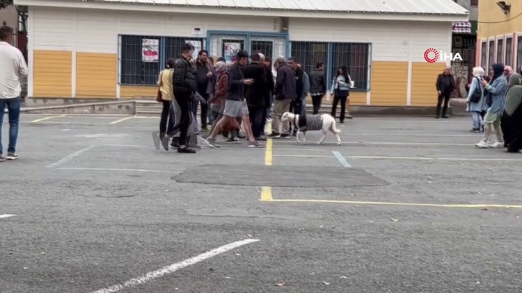 Üzerine kazak giydirdiği kuzusuyla oy kullanmaya geldi