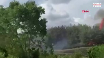 Adana'da Anız yangınında alevler ormana sıçradı