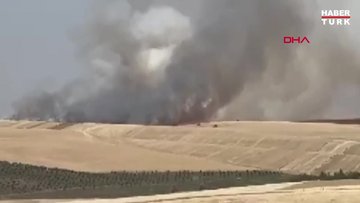 Diyarbakır'da 100 dönüm alanda ekili buğday yandı