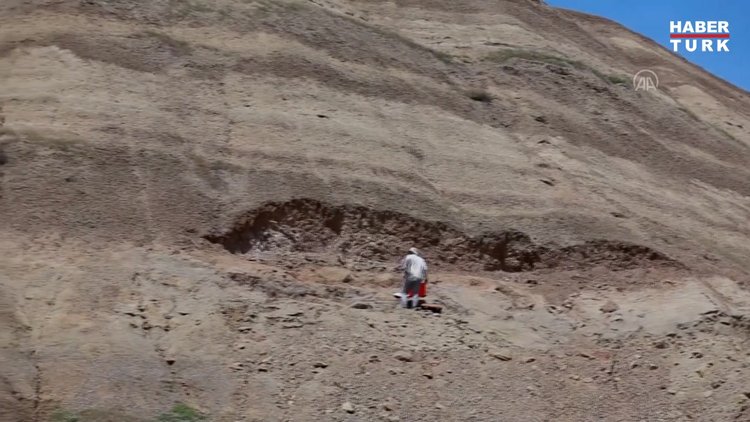 Dev gergedan fosiline ait yeni kemikler bulundu