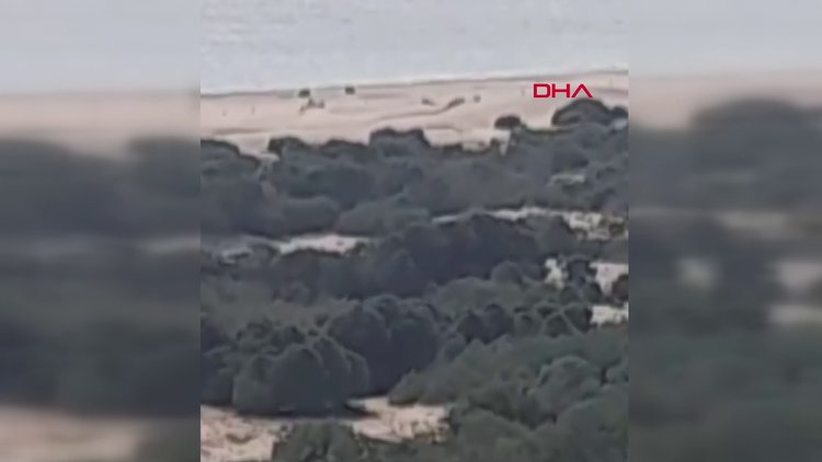 Caretta carettaların yuva alanı olan kumsallardaki ATV'lere tepki!