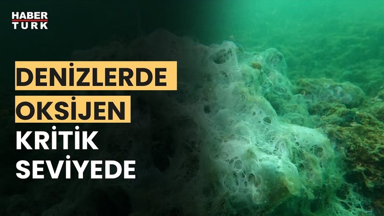 Bu yaz müsilaj görür müyüz?