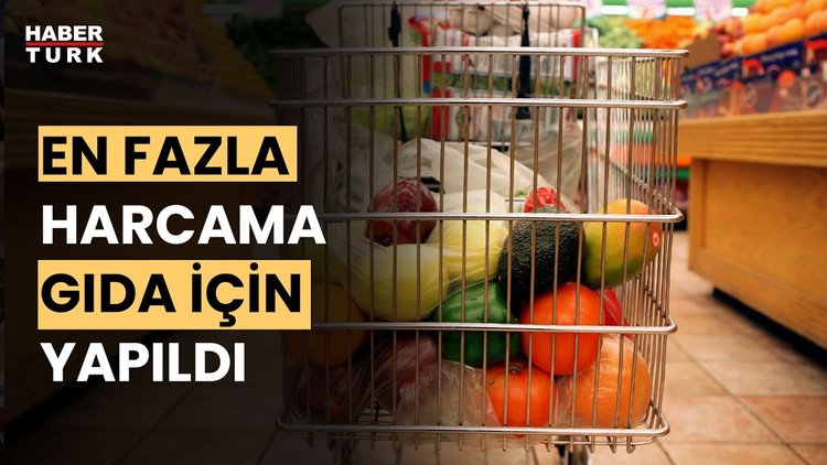 Hane halkı neye para harcadı?