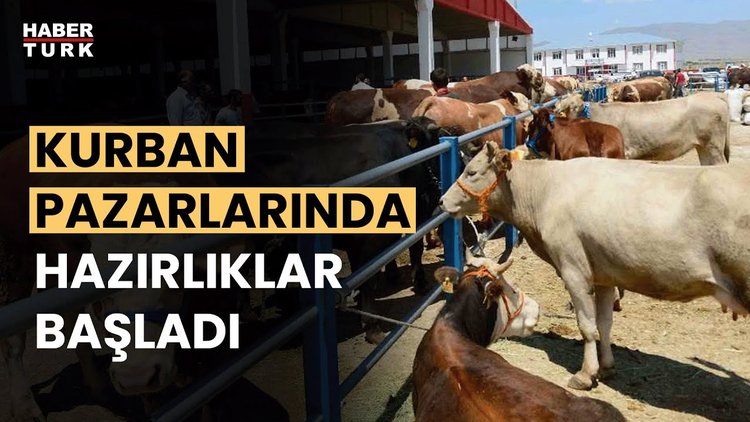 Kurban satışları için çadırlar kuruldu