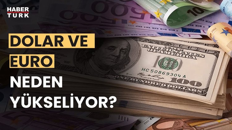 Dövizdeki yükseliş ne kadar sürer? Prof. Dr. Oral Erdoğan yanıtladı