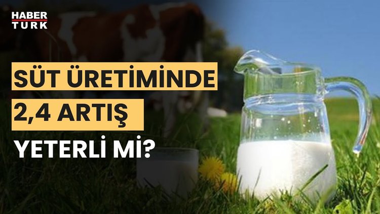 Süt üretimi ihtiyacı karşılıyor mu? Sencer Solakoğlu yanıtladı