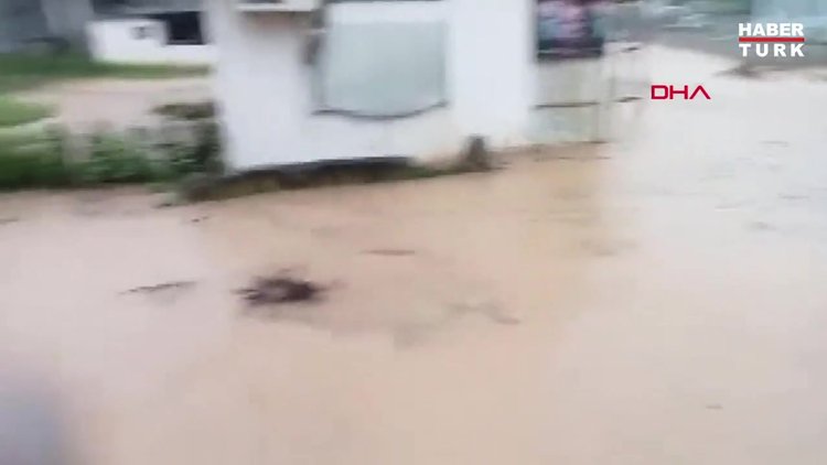 Düzce'de 8 köyde su taşkınları; Evler ve ekili alanlar zarar gördü