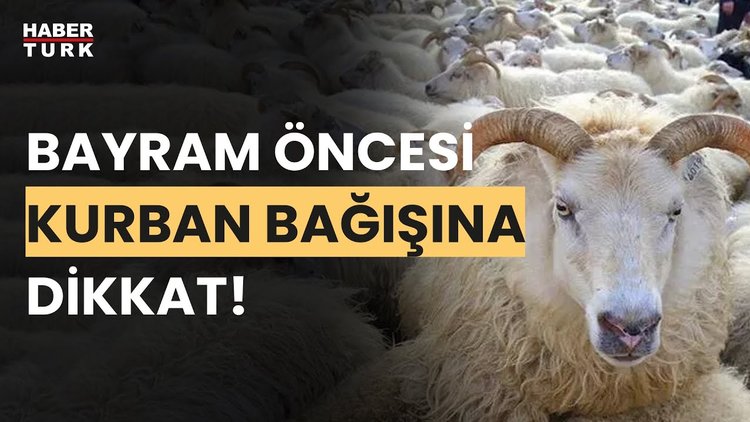 Kurban bağışı yaparken nelere dikkat edilmeli? Nihat Çelik yanıtladı