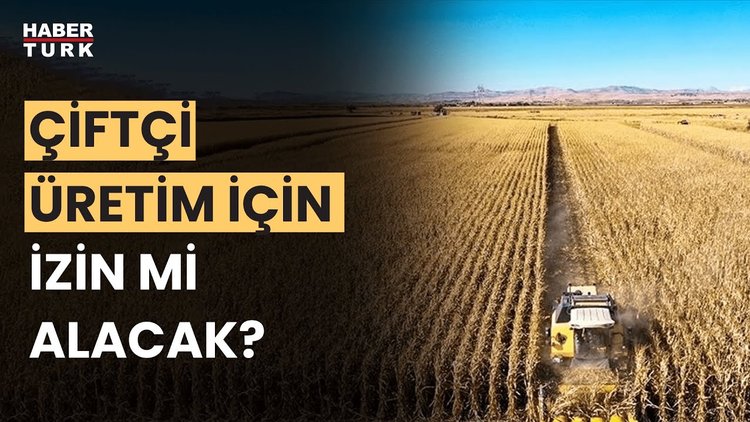 Planlı üretim nasıl denetlenecek?  Mine Ataman yanıtladı